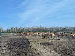 -溱湖国家湿地公园