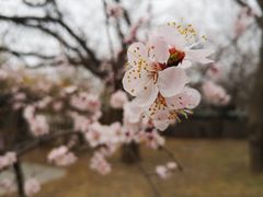 -国家植物园