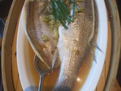 清蒸鲈鱼-金牌外婆家(苏州中心店)