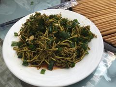 -姥家大锅台水库渔家