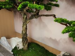 -合和大唐足道·泰式·SPA (凤城五路店)