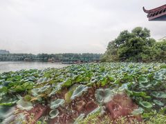 -湖畔居茶楼(湖滨店)