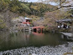 -醍醐寺