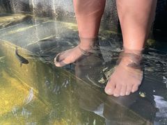 -西安国际创新人才交流中心•药浴温泉