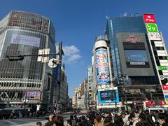 -涩谷全向十字路口