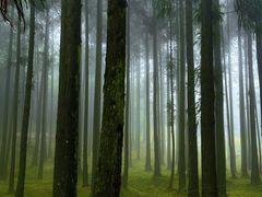 -玉苍山国家森林公园