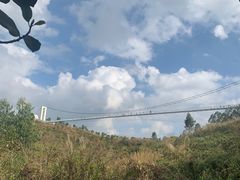 -田园寨农园观光园