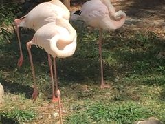 -昆明动物园