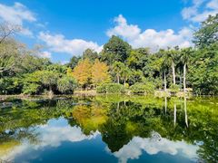 -中国科学院西双版纳热带植物园