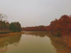 -上海海湾国家森林公园