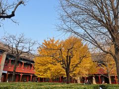 -北京石刻艺术博物馆(五塔寺)