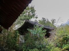 -竹林寺