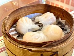 虾饺-捷信牛奶甜品世家(五道口店)