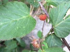 东林大佛-东林大佛