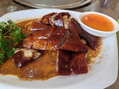 -港升鱼师傅·中山脆肉鲩