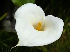 -养云安缦吧THE BAR