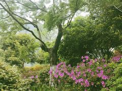 -杭州城北体育公园