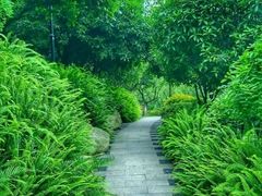 -龙头寺公园