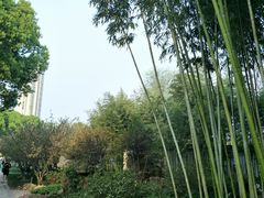 -荆川公园