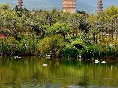 -蝴蝶泉公园
