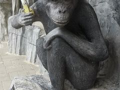 -贵州森林野生动物园
