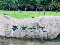 -暨阳湖生态园