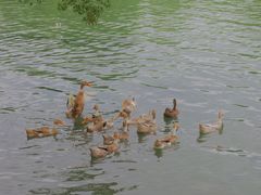 -东钱湖旅游度假区