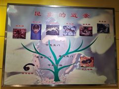 -上海昆虫博物馆