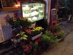 -狐狸家·酸奶酪专门店(平江路店)