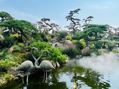 -罗红摄影艺术馆