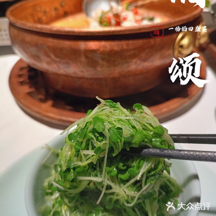 传承水谷之精，生动湘聚