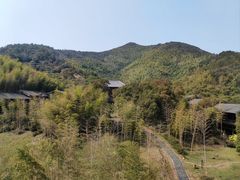 -大唐贡茶院