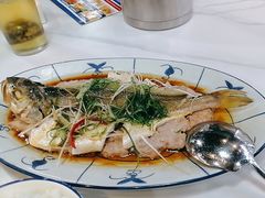 -明本湛江鸡•海鲜小厨(陈家祠店)
