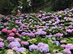 -名花谷生态庄园