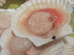 -星伦多自助料理·涮烤一体(江桥万达店)