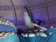 -烟台海昌鲸鲨海洋公园