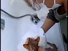 -爱洗澡的猫(望京店)