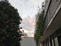 -Wagas沃歌斯(大学路店)