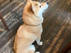 -三目仓咖啡(贤南路店)