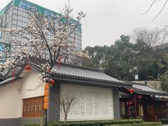 -白沙古井