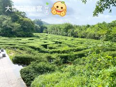 -大屏嶂森林公园