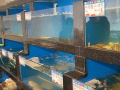 -华盛丰温州大排档(东三环南路店)