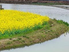 -乌村