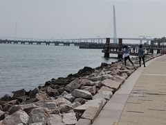 -深圳湾公园-停车场
