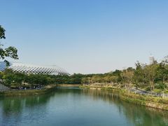 -深圳湾公园(南山区)