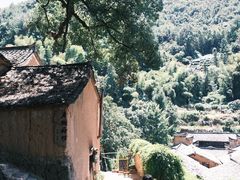 -杨家堂村