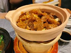 支竹炖牛筋腩煲-老广酒楼(樱花店)