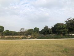 -鹅湖玫瑰文化园