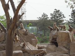 -西安秦岭野生动物园