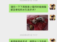 -爱侣宠医·鹦鹉专科·小型哺乳类·异宠专科(灵石路店)